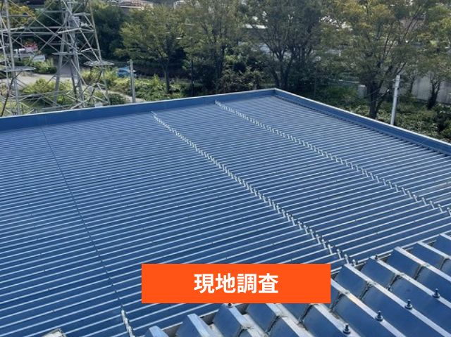 現地調査